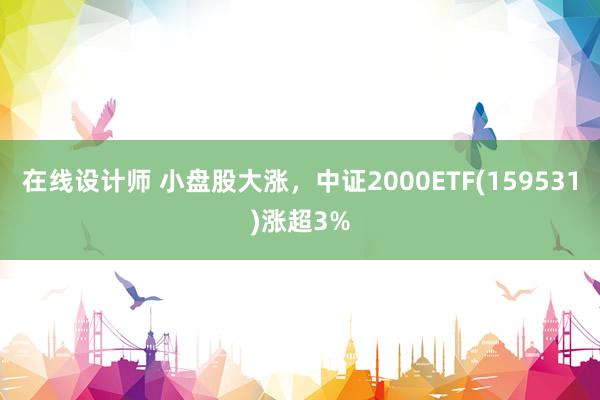 在线设计师 小盘股大涨，中证2000ETF(159531)涨超3%