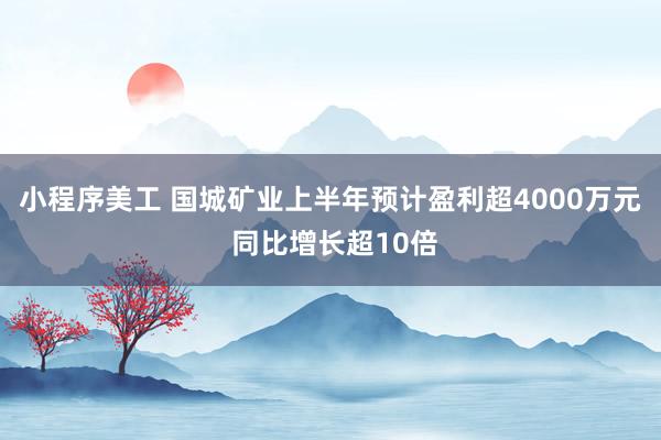 小程序美工 国城矿业上半年预计盈利超4000万元 同比增长超10倍